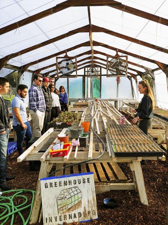 Engineering Students Visit Bounty Farm in Petaluma